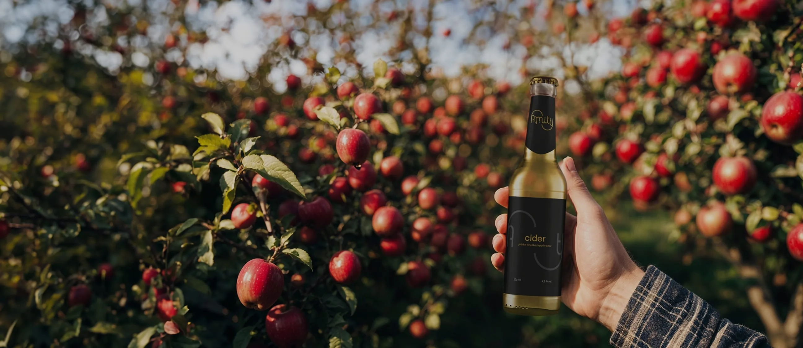 Fotka Amity Drinks cideru